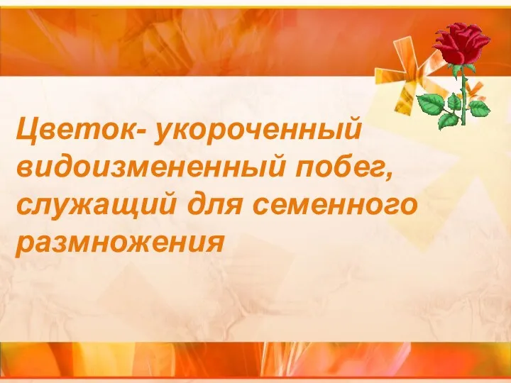 Цветок- укороченный видоизмененный побег, служащий для семенного размножения