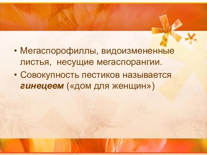 Мегаспорофиллы, видоизмененные листья, несущие мегаспорангии. Совокупность пестиков называется гинецеем («дом для женщин»)