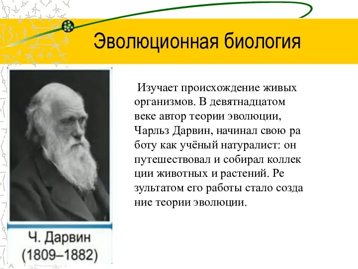 Эволюционная биология Изу­ча­ет про­ис­хож­де­ние живых ор­га­низ­мов. В де­вят­на­дца­том веке автор