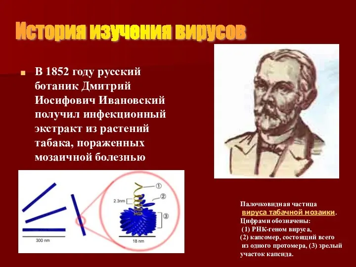 В 1852 году русский ботаник Дмитрий Иосифович Ивановский получил инфекционный экстракт из растений
