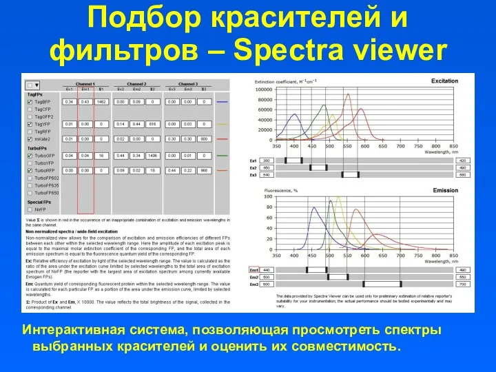 Подбор красителей и фильтров – Spectra viewer Интерактивная система, позволяющая