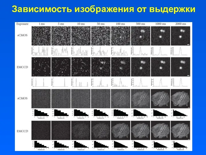 Зависимость изображения от выдержки