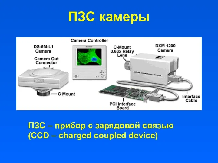 ПЗС камеры ПЗС – прибор с зарядовой связью (CCD – charged coupled device)