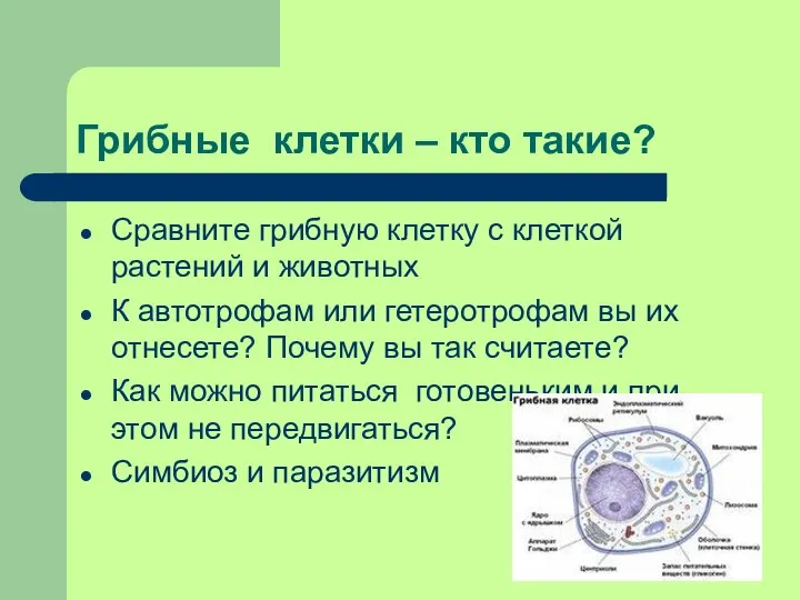 Грибные клетки – кто такие? Сравните грибную клетку с клеткой