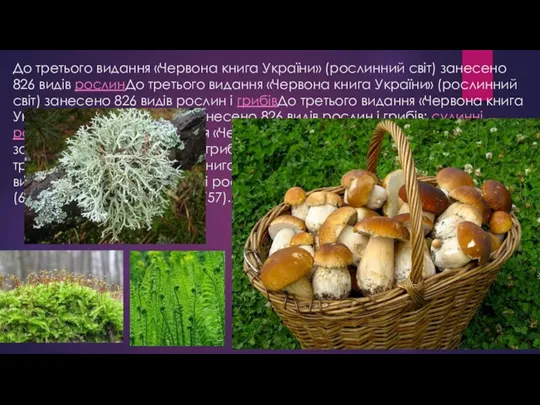 До третього видання «Червона книга України» (рослинний світ) занесено 826