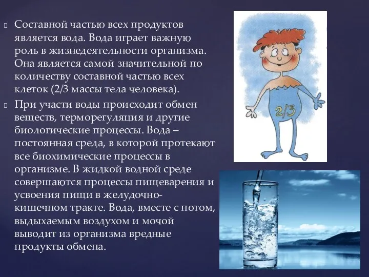 Составной частью всех продуктов является вода. Вода играет важную роль