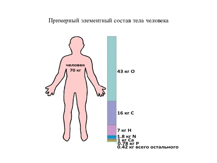 Примерный элементный состав тела человека