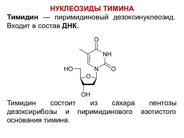 НУКЛЕОЗИДЫ ТИМИНА Тимидин — пиримидиновый дезоксинуклеозид. Входит в состав ДНК. Тимидин состоит из