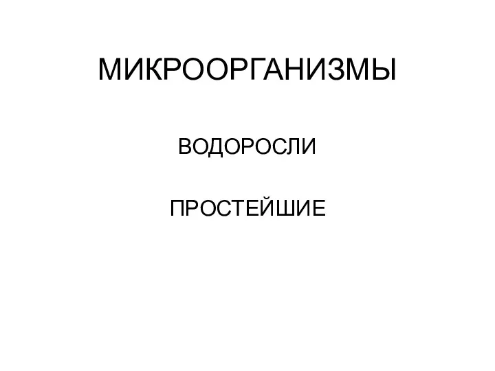 МИКРООРГАНИЗМЫ ВОДОРОСЛИ ПРОСТЕЙШИЕ