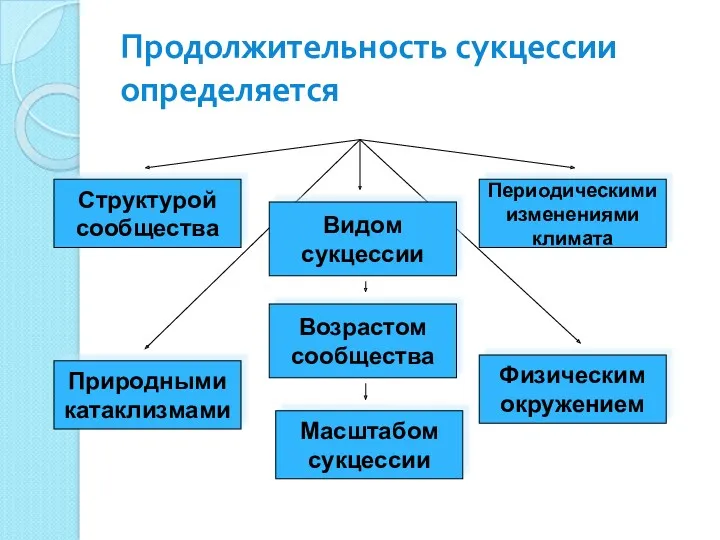 Продолжительность сукцессии определяется Структурой сообщества Видом сукцессии Природными катаклизмами Физическим