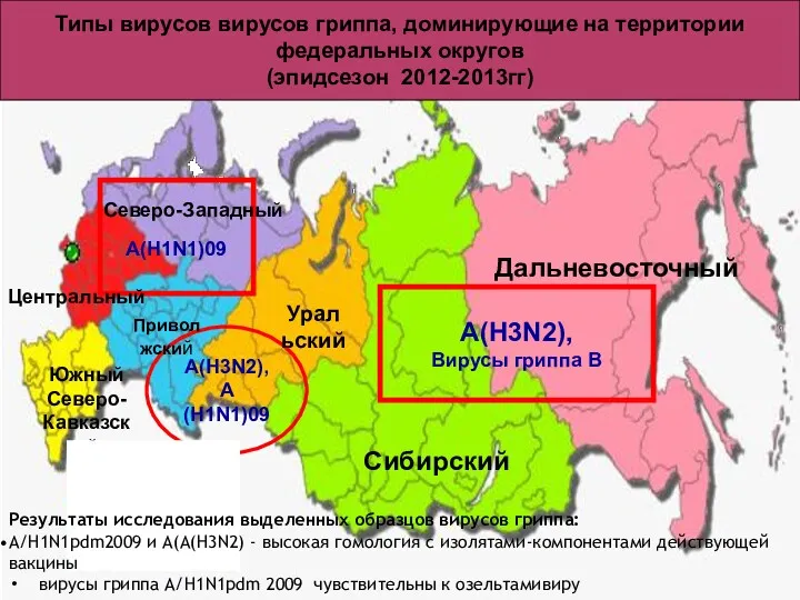 ДОМИ А(Н3N2), Вирусы гриппа В А(Н3N2), А(Н1N1)09 А(Н1N1)09 Типы вирусов