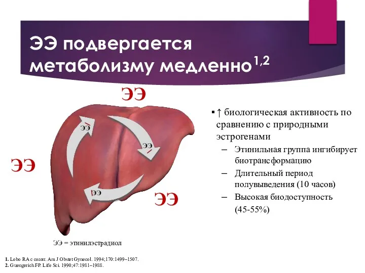 ↑ биологическая активность по сравнению с природными эстрогенами Этинильная группа