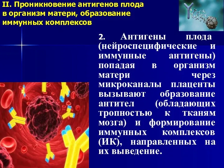 II. Проникновение антигенов плода в организм матери, образование иммунных комплексов