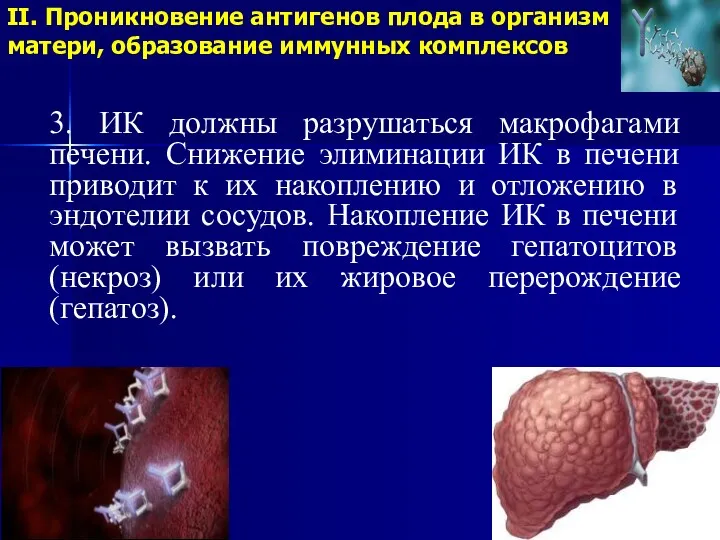 II. Проникновение антигенов плода в организм матери, образование иммунных комплексов