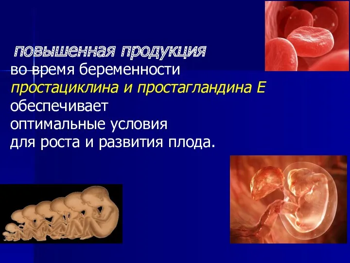 повышенная продукция во время беременности простациклина и простагландина Е обеспечивает