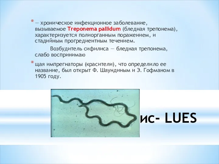 Сифилис- LUES — хроническое инфекционное заболевание, вызываемое Treponema pallidum (бледная