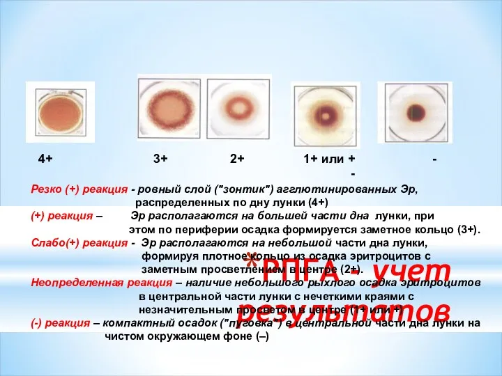 РПГА - учет результатов Резко (+) реакция - ровный слой