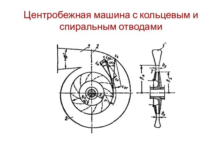 Центробежная машина с кольцевым и спиральным отводами