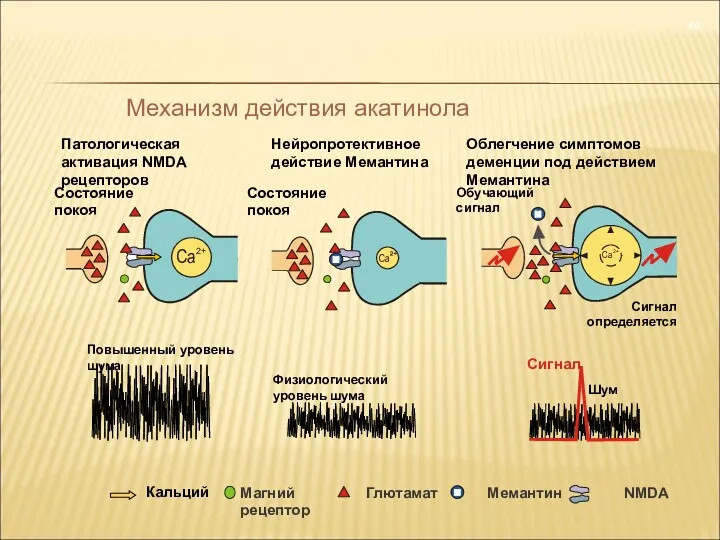 Магний Глютамат Мемантин NMDA рецептор Ca 2+ Ca Сигнал определяется