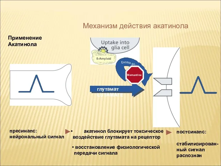 Применение Акатинола восстановление физиологической передачи сигнала Механизм действия акатинола