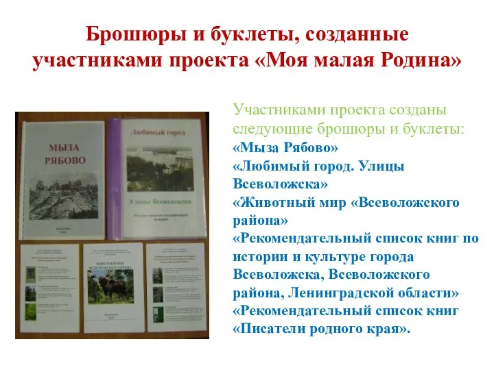 Брошюры и буклеты, созданные участниками проекта «Моя малая Родина» Участниками