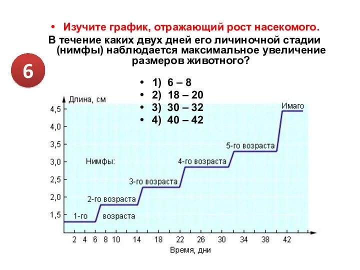 Изучите график, отражающий рост насекомого. В течение каких двух дней