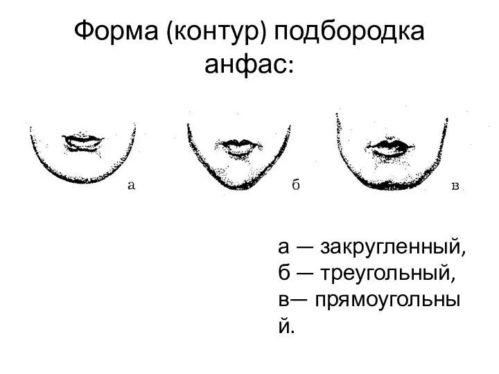 Форма (контур) подбородка анфас: а — закругленный, б — треугольный, в— прямоугольный.