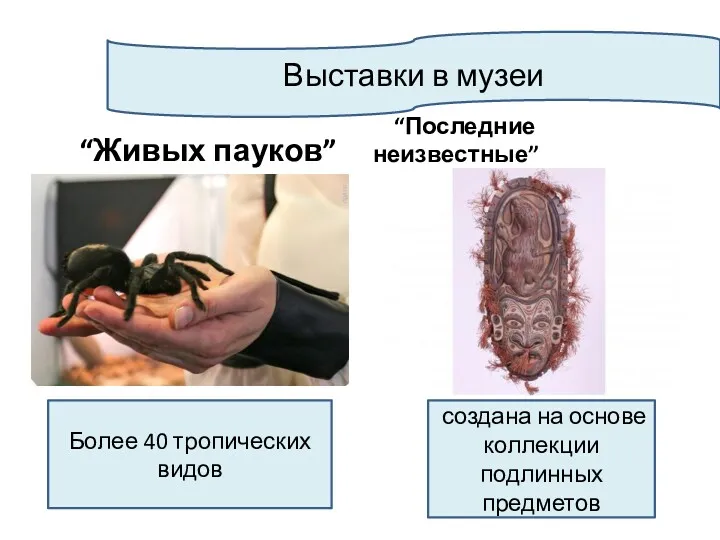 Выставки в музеи “Живых пауков” “Последние неизвестные” Более 40 тропических