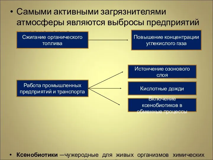 Самыми активными загрязнителями атмосферы являются выбросы предприятий и транспорта. Ксенобиотики —чужеродные для живых