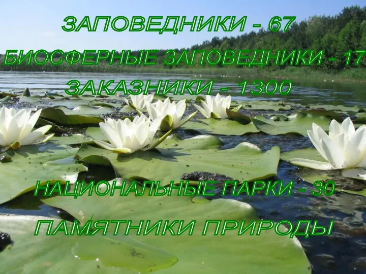 ЗАПОВЕДНИКИ - 67 НАЦИОНАЛЬНЫЕ ПАРКИ - 30 ЗАКАЗНИКИ - 1300 ПАМЯТНИКИ ПРИРОДЫ БИОСФЕРНЫЕ ЗАПОВЕДНИКИ - 17