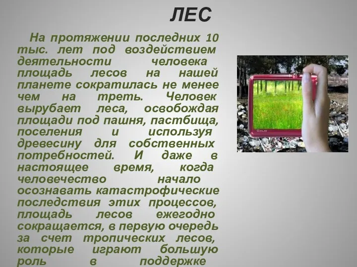 ЛЕС На протяжении последних 10 тыс. лет под воздействием деятельности