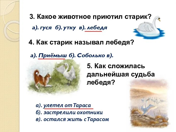 3. Какое животное приютил старик? а). гуся б). утку в).