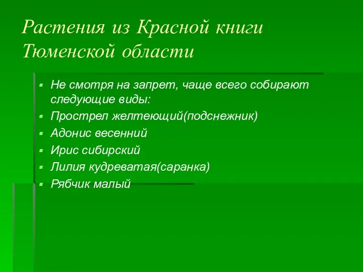 Растения из Красной книги Тюменской области Не смотря на запрет, чаще всего собирают