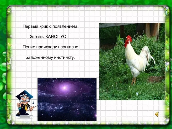 Первый крик с появлением Звезды КАНОПУС. Пение происходит согласно заложенному инстинкту.