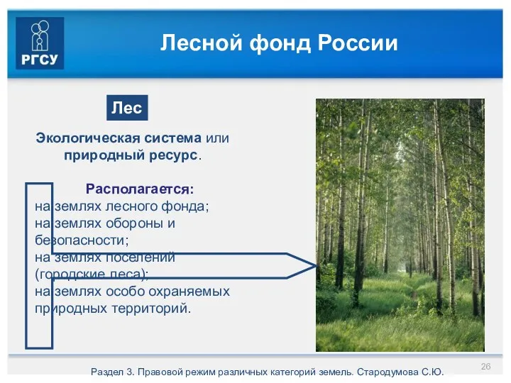 Лесной фонд России Раздел 3. Правовой режим различных категорий земель.