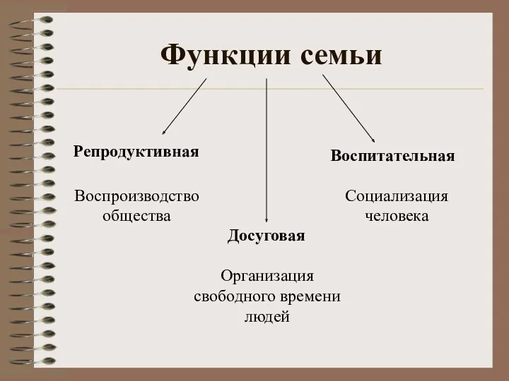 Функции семьи Репродуктивная Воспитательная Досуговая Воспроизводство общества Организация свободного времени людей Социализация человека