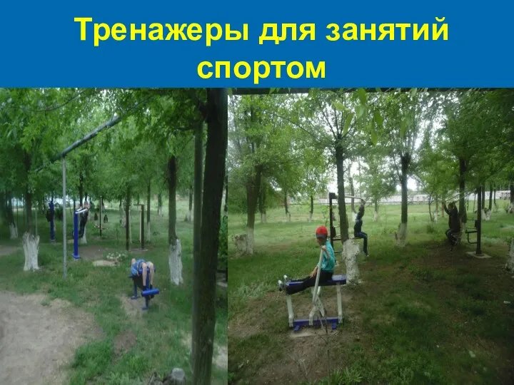 Тренажеры для занятий спортом