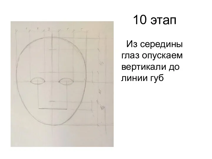 10 этап Из середины глаз опускаем вертикали до линии губ