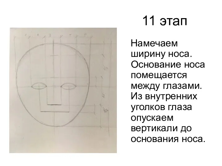 11 этап Намечаем ширину носа. Основание носа помещается между глазами.