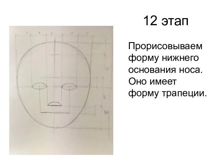 12 этап Прорисовываем форму нижнего основания носа. Оно имеет форму трапеции.