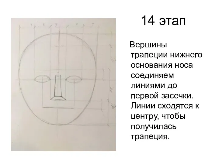 14 этап Вершины трапеции нижнего основания носа соединяем линиями до