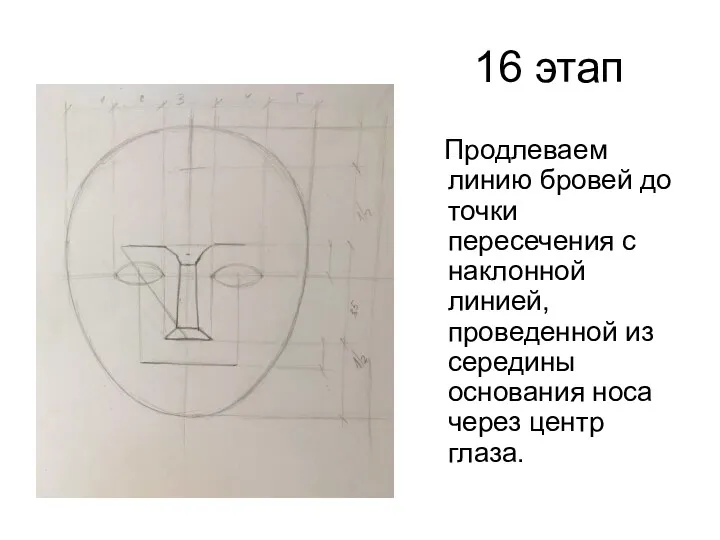 16 этап Продлеваем линию бровей до точки пересечения с наклонной