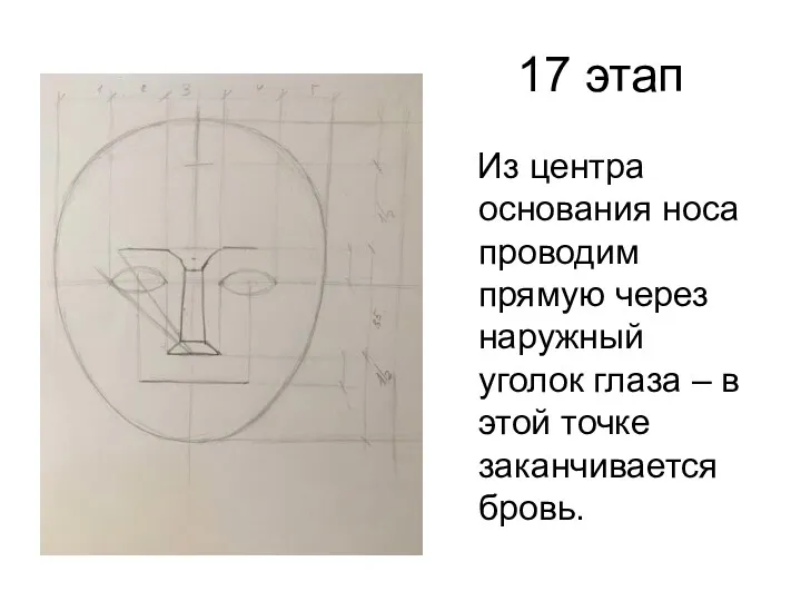17 этап Из центра основания носа проводим прямую через наружный