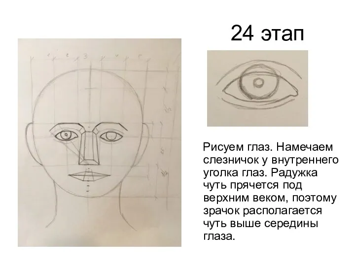 24 этап Рисуем глаз. Намечаем слезничок у внутреннего уголка глаз.