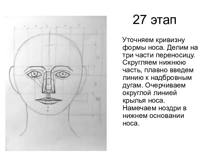 27 этап Уточняем кривизну формы носа. Делим на три части