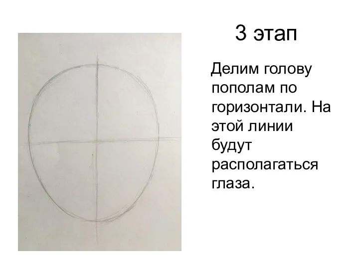 3 этап Делим голову пополам по горизонтали. На этой линии будут располагаться глаза.