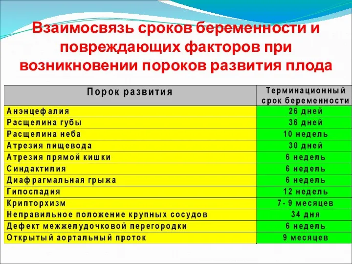 Взаимосвязь сроков беременности и повреждающих факторов при возникновении пороков развития плода