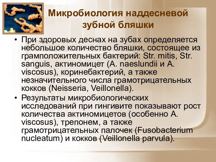 При здоровых деснах на зубах определяется небольшое количество бляшки, состоящее