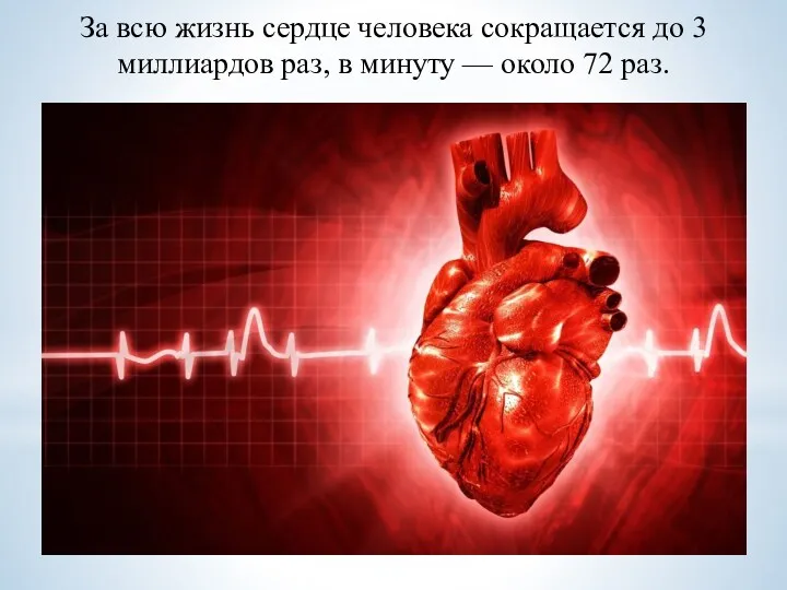 За всю жизнь сердце человека сокращается до 3 миллиардов раз, в минуту — около 72 раз.