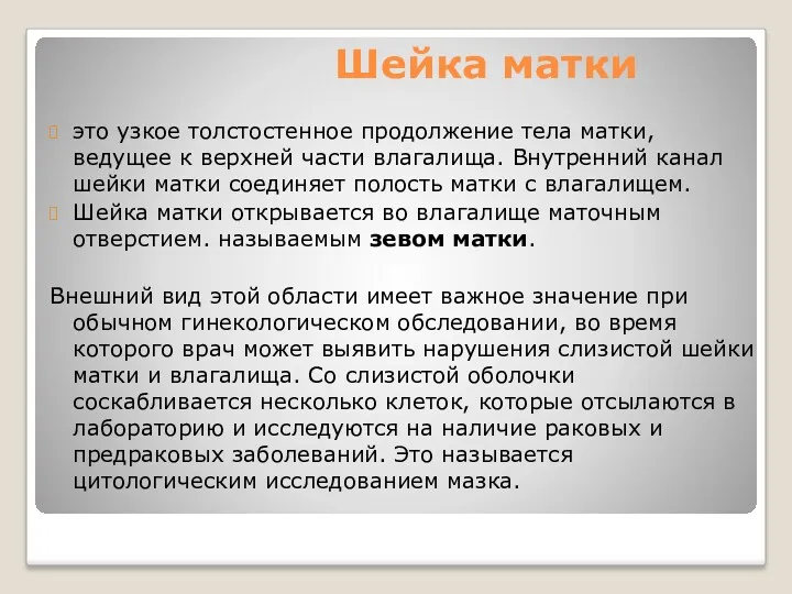 Шейка матки это узкое толстостенное продолжение тела матки, ведущее к